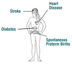 Oral Health Illustration